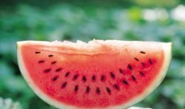 今日吃瓜的图片素材,揭秘娱乐圈最新热点事件